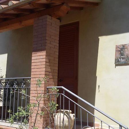 Le Camere Di Nonna Mara Montescudaio Exteriér fotografie